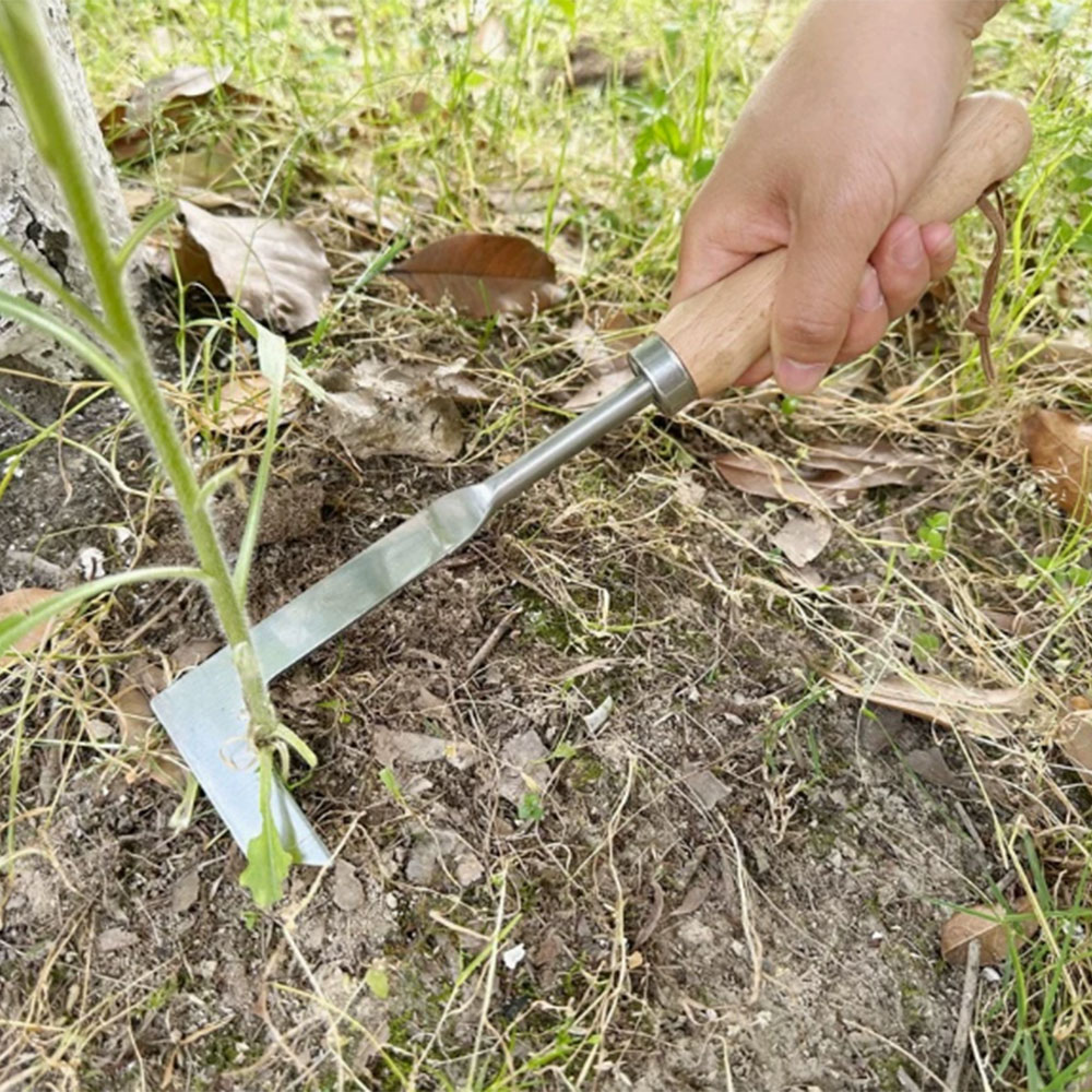 Attrezzo per Diserbo in Acciai - Gardening Hand Tools Yard recensione e prezzo
