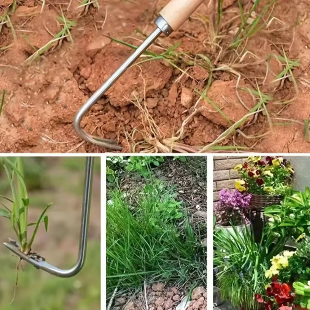 Attrezzo per Diserbo in Acciai - Gardening Hand Tools Yard recensione e prezzo