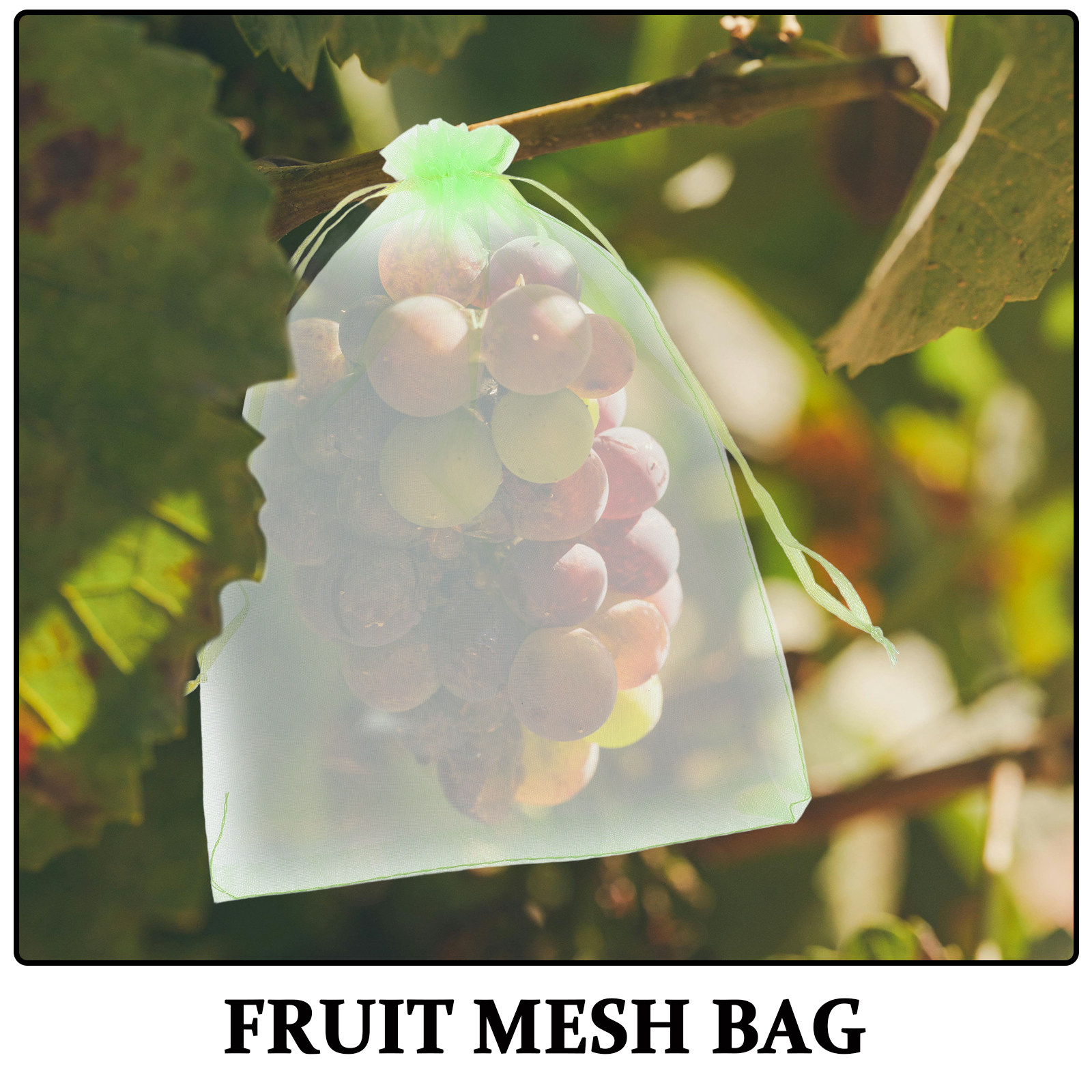 30 sacchetti protettivi per al - Garden Netting Cover recensione e prezzo
