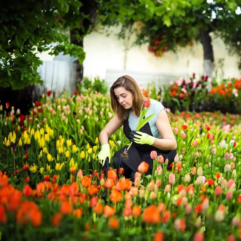 Rastrello da Giardino 2 in 1 M - Gardening Tools For Weeds recensione e prezzo