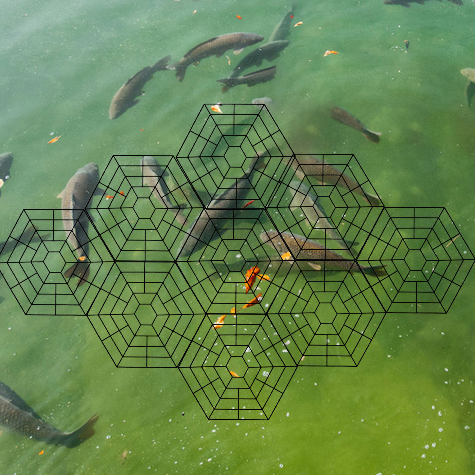 10 pezzi di protezioni per pes - Garden Netting Cover recensione e prezzo