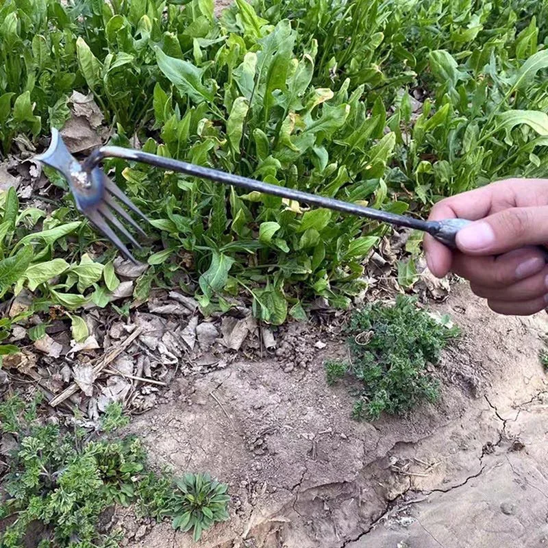 Diserbatore Manuale da Giardin - Gardening Tools For Weeds recensione e prezzo