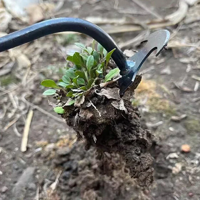Diserbatore Manuale da Giardin - Gardening Tools For Weeds recensione e prezzo