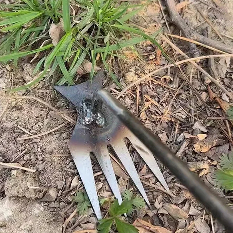 Diserbatore Manuale da Giardin - Gardening Tools For Weeds recensione e prezzo