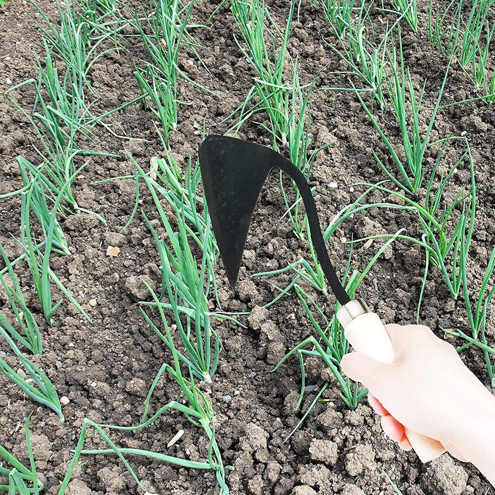 Attrezzi agricoli zappe triang - Gardening Tools For Weeds recensione e prezzo