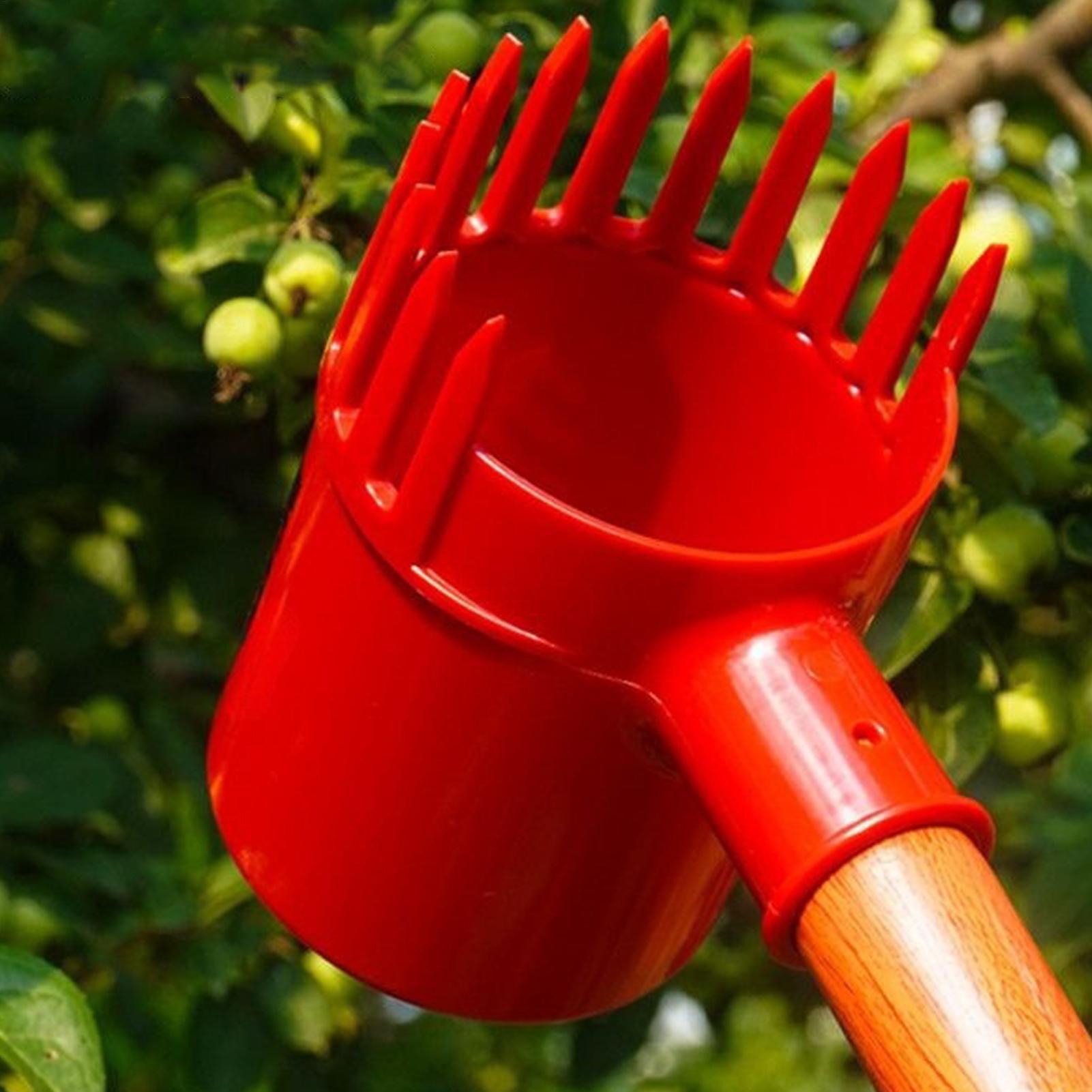 Attrezzo per la Raccolta della - Gardening Tools Long recensione e prezzo