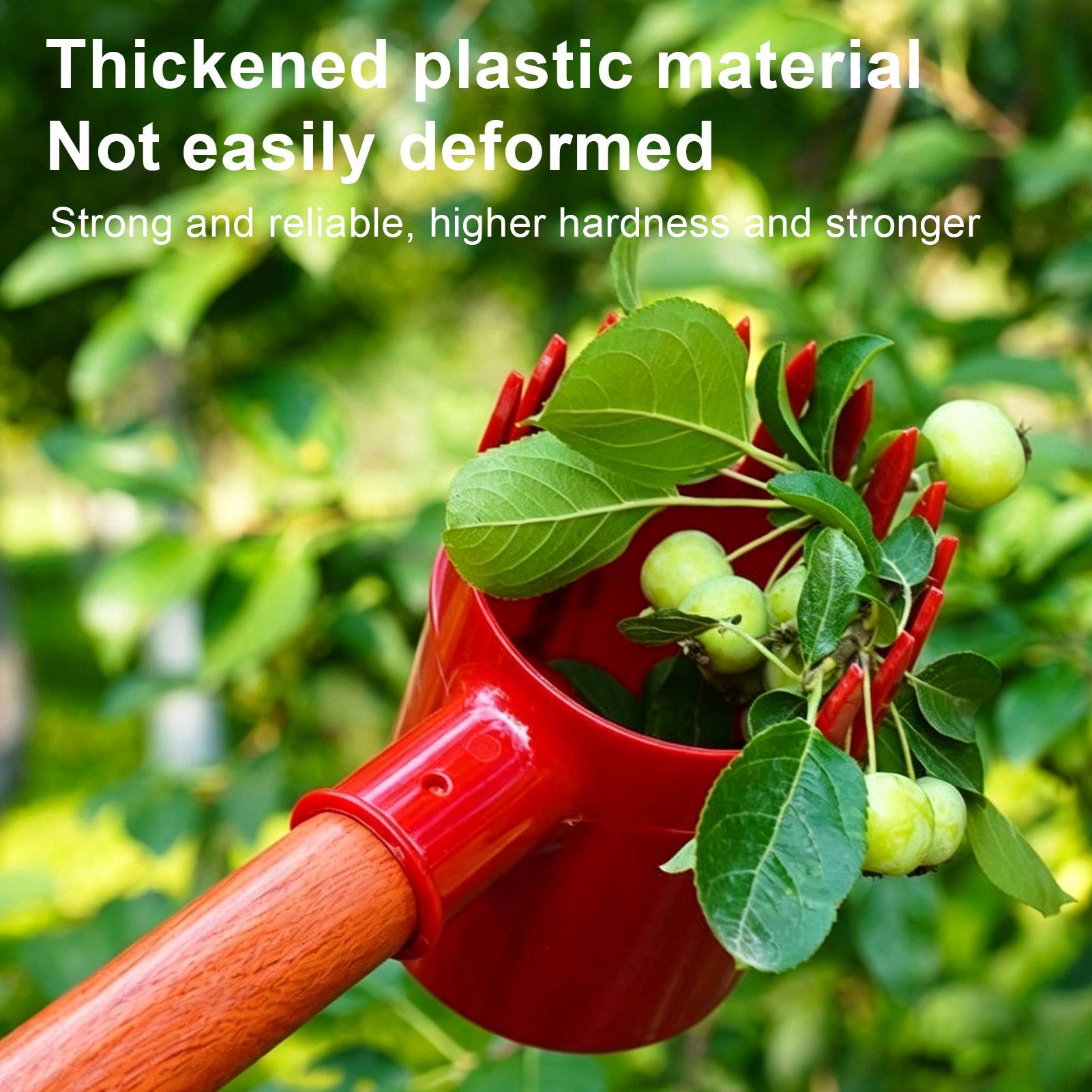 Attrezzo per la Raccolta della - Gardening Tools Long recensione e prezzo