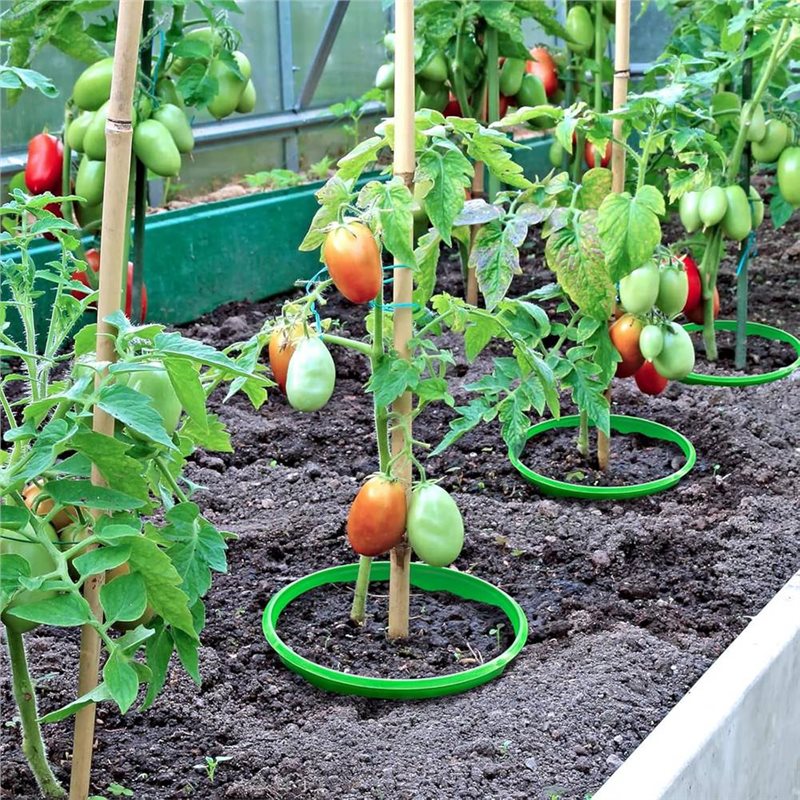 LIKE WISH Collare per la cresc - Gardening Tools For Weeds recensione e prezzo