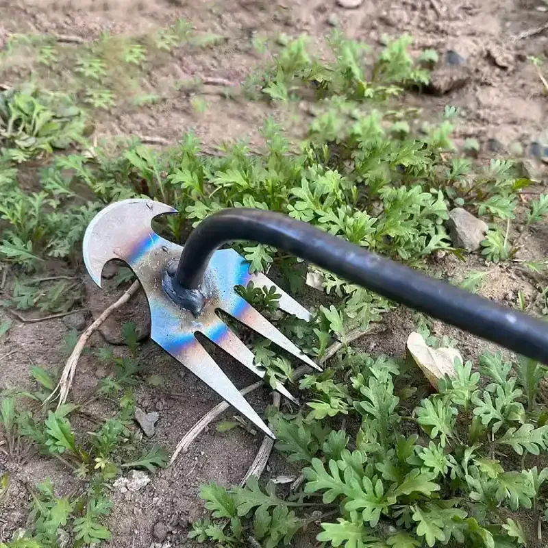 Diserbante da Giardino in Acci - Gardening Tools For Weeds recensione e prezzo