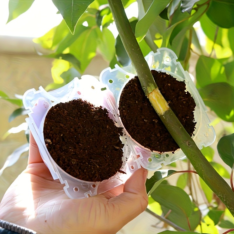 Kit da 10 Pezzi per Propagazio - Gardening Tools Bag recensione e prezzo